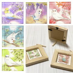 豆額　セキセイインコ