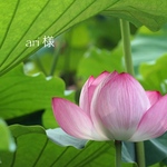 ari様専用