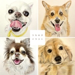 《期間限定》1500円⇨1200円　うちの子似顔絵　イラストオーダー　ハガキサイズ【原画】