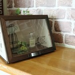 ＣＵＴＥ☆　ナチュラルなパティスリーＢＯＸ