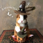 ☆ハロウィン仕様☆魔女もる🎃A