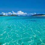 専用ページ