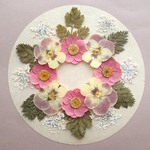 押し花セットC＜組み立ての花＆レースフラワー他＞