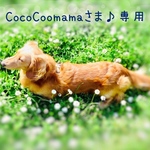 CocoCoomamaさま♪専用