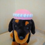 yuzutan0930さま専用ページ