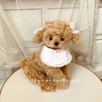 ふわふわ優しい♡トイプードル･｡.:*･