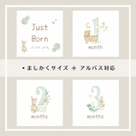 【送料無料】◼︎ baby:mint マンスリーカード　月齢カード　ましかく　アルバス
