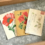 ＊SOLD OUT＊ アンティークポストカード3種セット 花（薔薇 バラ・アネモネ）｜フランス