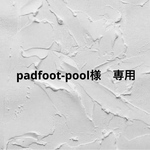 padfoot-pool様　専用ですᵕ̈