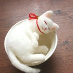 和カップ猫　たま