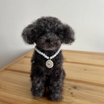 yokkotorop様ご予約品　トイプードル　ブラック
