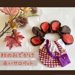 秋のおでかけ＊赤いサロペット＊