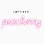 ネイルチップ kopii-12様専用出品