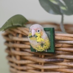 ご予約品・ブローチ)ミモザ刺繍とウロコインコ(P)_窓枠からこんにちはシリーズ_brooch\wool felt\ Budgerigar\embroidery