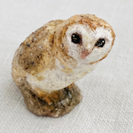 メンフクロウ（barn owl）
