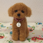 羊毛  トイプードル