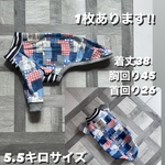 イタグレの服　イタグレ服
