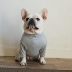 犬用タートルネックシャツ　ネイビー×ホワイト　サイズオーダー