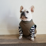 犬用ベストMサイズ