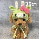 2024年辰年🐲辰の帽子🐲小型犬用帽子・プードル用
