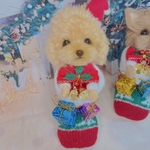 ⭐︎クリスマスブーツ　サンタ　トイプードル　羊毛フェルト⭐︎