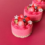 ミニチュア　ベリールージュ