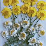 押し花　ムルチコーレ、花かんざし　のセット　No.310454