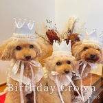 ミニ ベビークラウン w×w パ フリル（100日 ハーフバースデー 誕生日 王冠 バースデー 1歳 ）ひな祭り