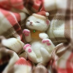 おねがいにゃんこNo.134