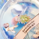 <キーホルダー>〜立体標本風〜ホホベニモウミウシ