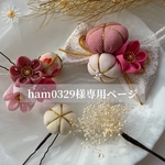 ham0329様専用ページ