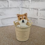 羊毛フェルト  犬  柴犬 ☆ インテリア缶