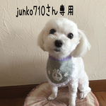 犬用スタイ・メッセージスタイ