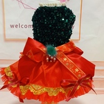 完成品🎄モミの木カラーのクリスマスドレス🎄