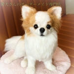 愛犬さんのオーダー　リアル　羊毛フェルト　オーダー　犬　置物　ペット　オーダーメイド　【うちの子オーダー】　メモリアル　チワワ　トイプードル　ダックス　柴犬　パピヨン　ポメラニアン　ヨーキー