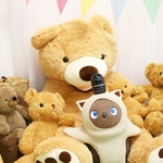 Nikki tie 様セミオーダー名刺