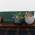 黒板＆飾り棚