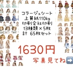 コラージュシート 65枚 13種類×5上質紙110kg A4 商品利用可能