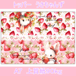 トッパー　うさちゃんず　