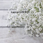 kaeneco様専用ネイルチップ