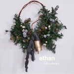 Winter wreath(dried flowers)/Blue gum