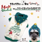 Christmas🎄ツリーになっちゃうオヨウフク