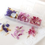11/8 22:00～販売|花材❁3カラーミックス|デルフィニウム*ハイブリッドスターチス*千日紅他𓇢 𓆸
