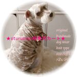★oturusann様専用カート★