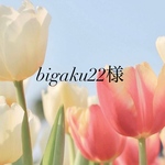 bigaku22様専用ページ