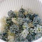 【グレーブラック】かすみ草のドライフラワー