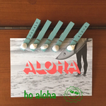 ALOHAなｼｪﾙｸﾘｯﾌﾟ ｸﾞﾘｰﾝ５個セット