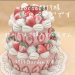 🍓苺の2段ケーキA-51