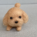 わたしのトイプードルちゃん