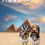 YT様専用ページ